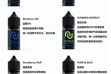 NIMBUS ELIQUID 尼姆巴士【丁盐小油】