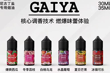 GAIYA 盖亚 【丁盐小油】